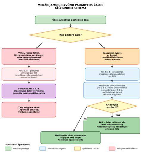 Infografika: Žalos atlyginimo schema Lietuvoje