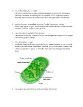 grafinė-diagrama: litavimo proceso eiga ir įrankiai