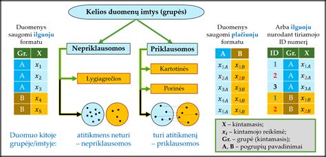 Infografika: antiseptikų ir impregnantų derinimo principas