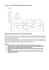 Terminio apdorojimo proceso eiga infografika: kaitinimo kamera, ISPM 15 reikalavimai, 24-48 valandos laikotarpis