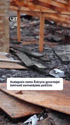 Infografika: Sudegusio namo medienos panaudojimo gairės