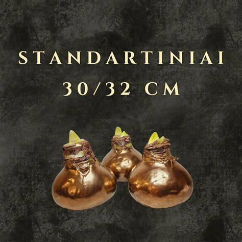 Standartinio dydžio faneros lapo pavyzdys: 4x8 pėdos