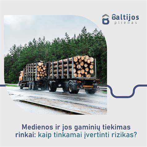 Klinčių ir terasų medienos gaminių infografika: asortimento tipai, matmenys, kainos
