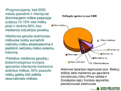 Medienos rūšių kaitrumo palyginimas