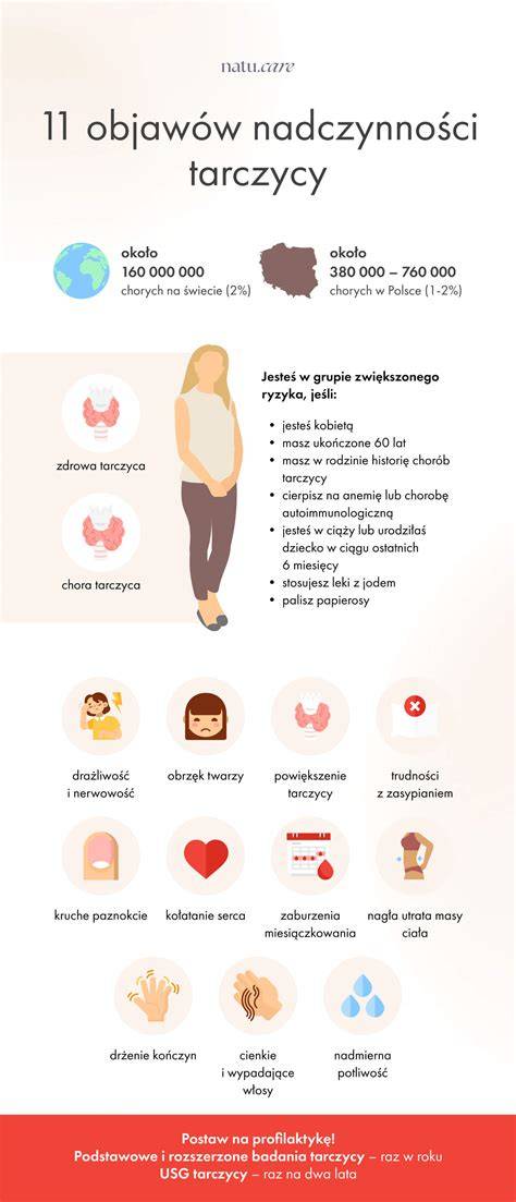 galine-paneles-apdaila-vw-t5-infografika