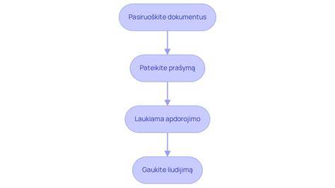 Infografika: Dažymo proceso žingsniai, paruošimas, džiūvimas ir apsauga
