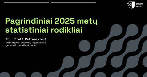 Infografika: įmonės finansiniai rodikliai 2025 m.
