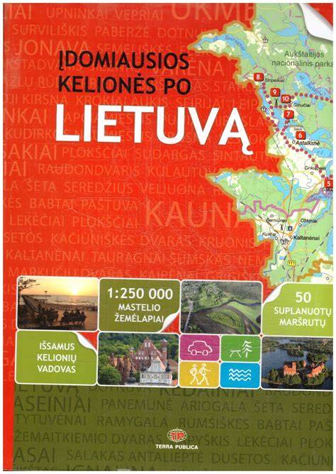 Kelionės maršrutų ir interneto poreikių derinimas infografikoje