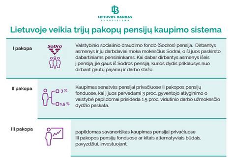 Infografika: kaip klijuojamos pakopos iš lamelių ir pagrindiniai džiovinimo etapai