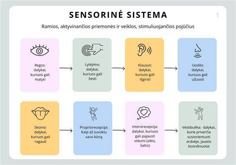 Infografika: hidroizoliacijos ir hermetizavimo priemonių rinkinys