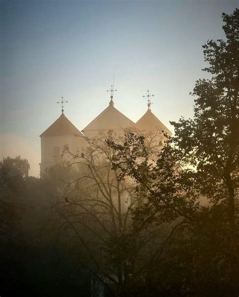 Nuotrauka, vaizduojanti apželdintą plokščią stogą