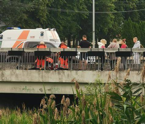 Tilto sprendimo pavyzdys ant medžio