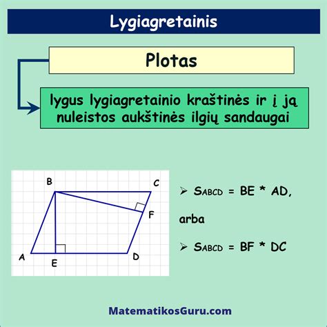 Infografika: senovinių Palemono čerpų išmatavimai ir dengiamas plotas