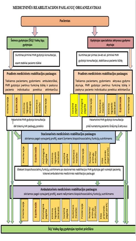 Infografinė schema: skaldos rūšys, apdirbimas ir panaudojimo sritys
