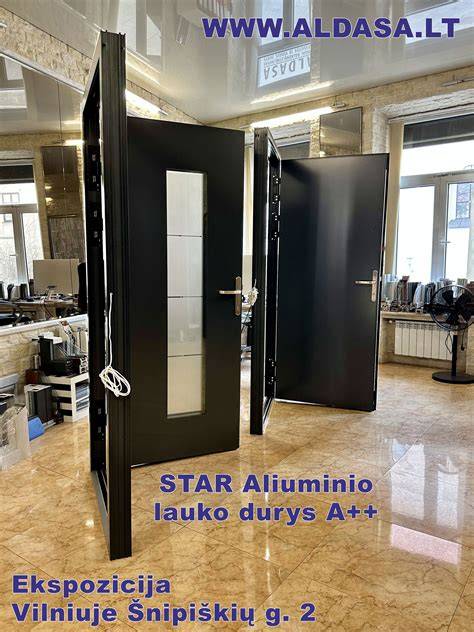 Stilingos aliuminio durys ir langai moderniame dizaine