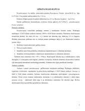 Infografika: Gelžbetonio konstrukcijų skaidraus proceso blokų ir priedų sąveika