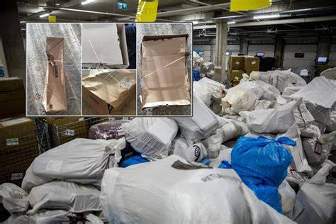 Pelėsio šalinimo proceso vizualizacija: darykime, ką reikia daryti