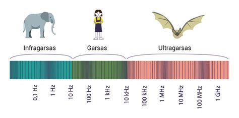 Infografika: Garso izoliacijos tipai ir jų taikymas