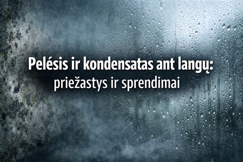 kamino problema: kondensatas ant sienelės
