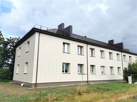 REGGA antgalio pavyzdys ir naudojimo instrukcijos