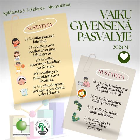 Spintelės kaiščių palyginamoji schema