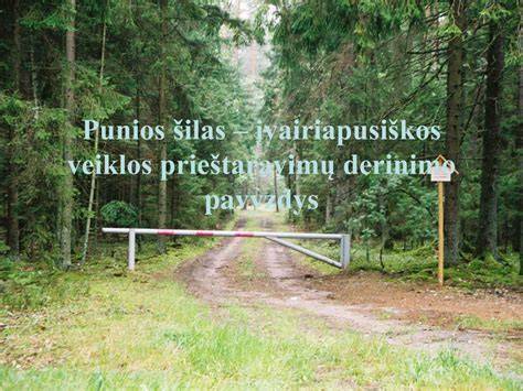 Vizualinis grindjuosčių derinimo pavyzdys