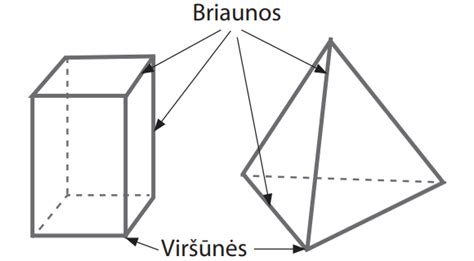 Komponentai ir briaunos: skirtingų storių ir briaunų išdėstymas