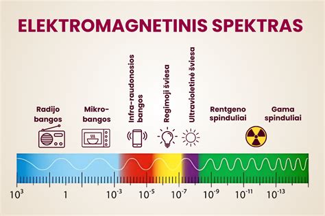 Infografika: ERMITO prekių asortimento spektras