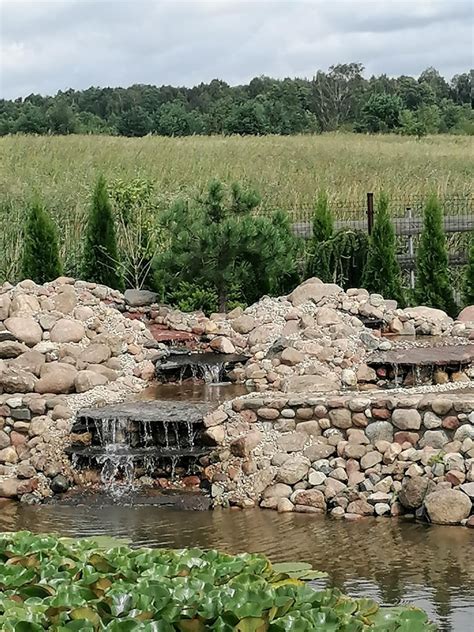 Apželdinimo planavimo schema: zonavimas, takai, vandens elementai, augalų grupavimas