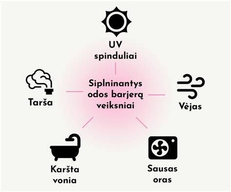 Infographic: Drėkinimo rutinos schema po dušo