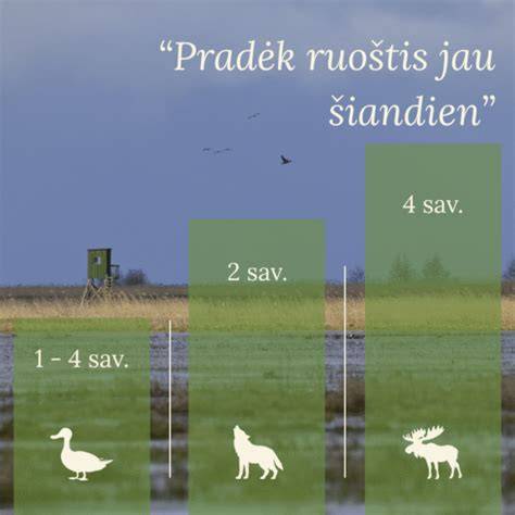 Standartinių reikalavimų santrauka