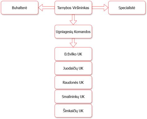 Sililintų polimerų struktūra