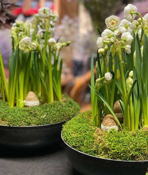 Floristinės kompozicijos su šaltais klijais ir aplikatoriumi