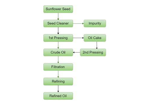 Illustration of cold-pressed sunflower oil extraction process