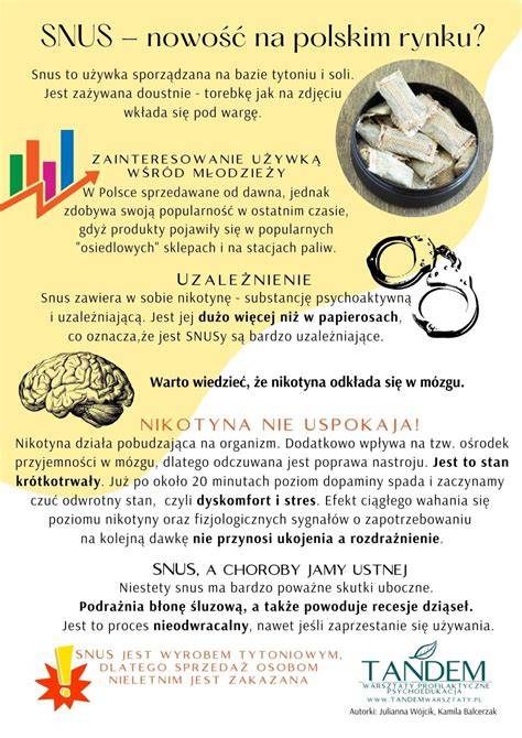 Kartotės infografika:
