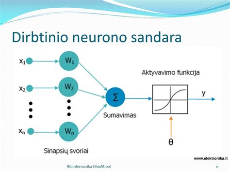 Dirbtinio neurono schema