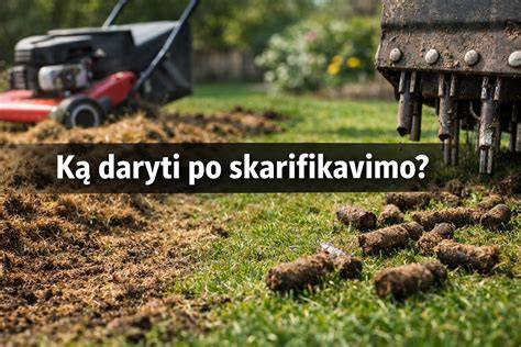 Infografika: ką daryti po užpylimo skysčiu