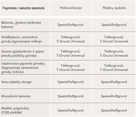 Schema: pagrindo paruošimas ir gruntavimas prieš tinkavimą