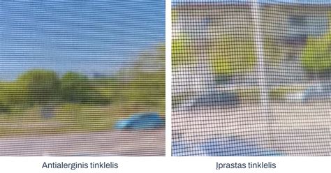 Antialerginis tinklelis