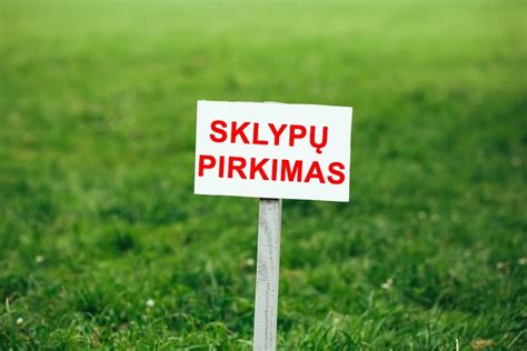Tinklelių pirkimas