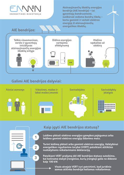 Infografika: energijos taupymo rodikliai