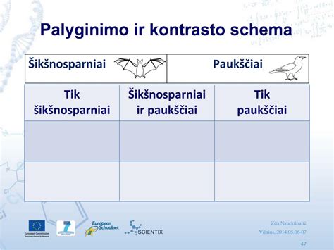 Movų tipų palyginimo schema