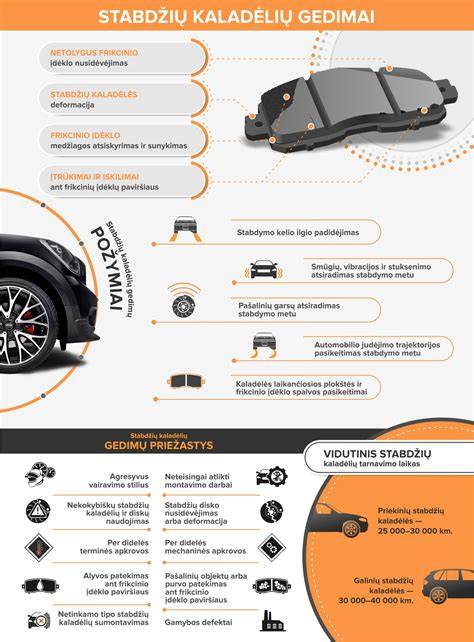 Infographic: stabdžių vamzdelių gedimo priežastys ir sprendimai