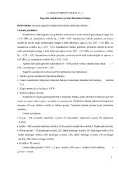 Schematinis dinaminiu štampu atliekamo bandymo pavaizdavimas