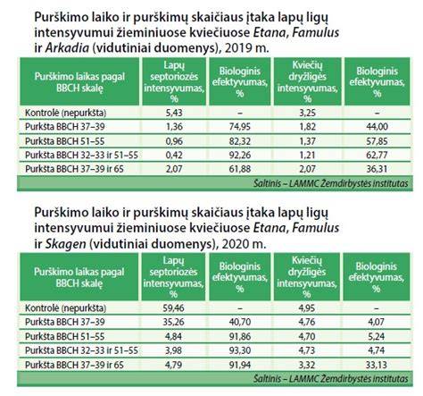 Infografika: teisingas klijavimo putų naudojimas - purškimo linijos, laiko intervalai