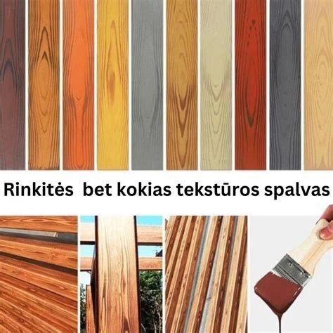 Medienos dažymo technologijos schema