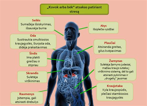 Schema, iliustruojanti subdukcijos ir kolizijos procesus