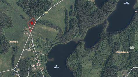 Žemėlapis ir ribos: miško valdos tyrimas vietoje