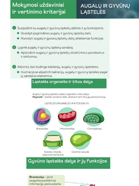 schematinis vaizdas: ciklas atsinaujinimo po dulkių