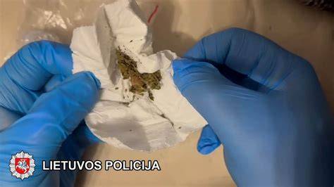 Vizualus patarėjas: įkvėpimo koliažas ir medžiagų paletė